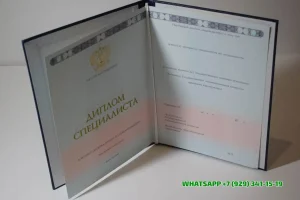 Купить диплом в Подольске Алтайского филиала РМАТ — Российской международной академии туризма